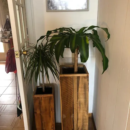 Nankurunaisa 民宿 *