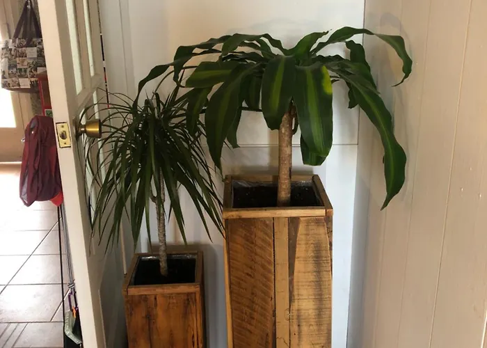 Nankurunaisa 民宿 *